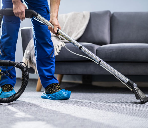Regular Cleaning IN Waltham, MA